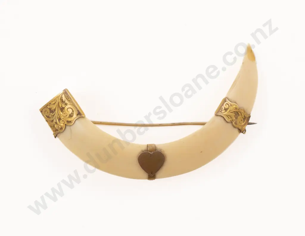 9ct Mounted Boar Tusk Brooch Image 1++