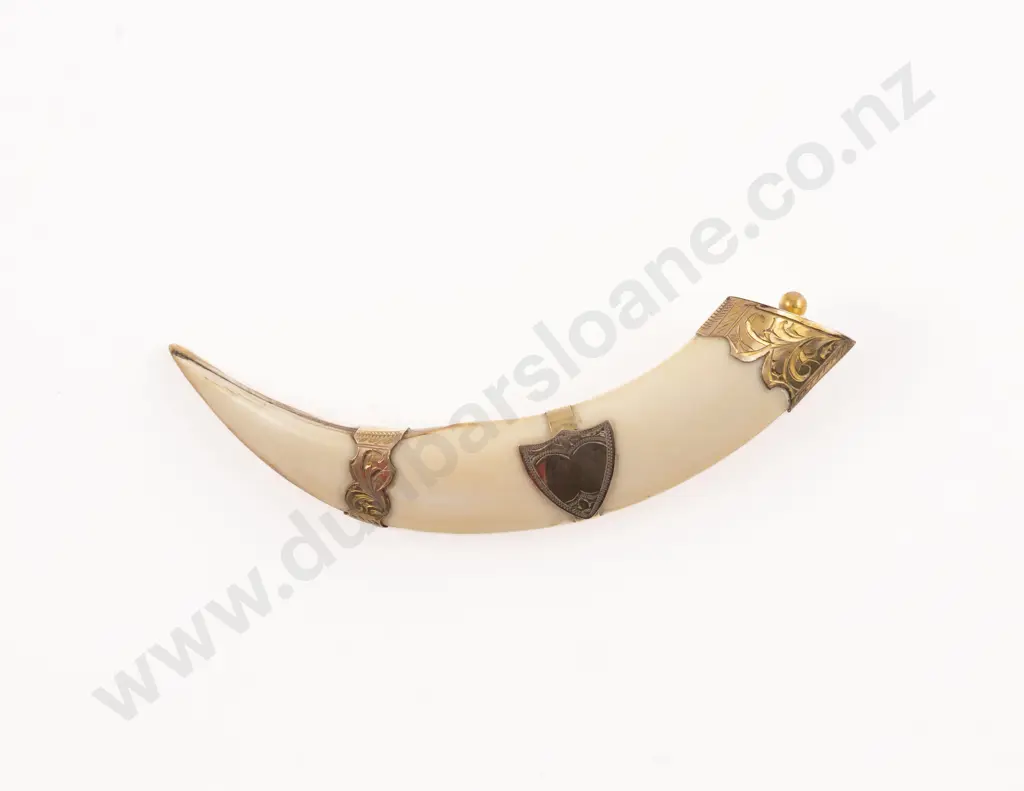 9ct Mounted Boar Tusk Brooch Image 1++