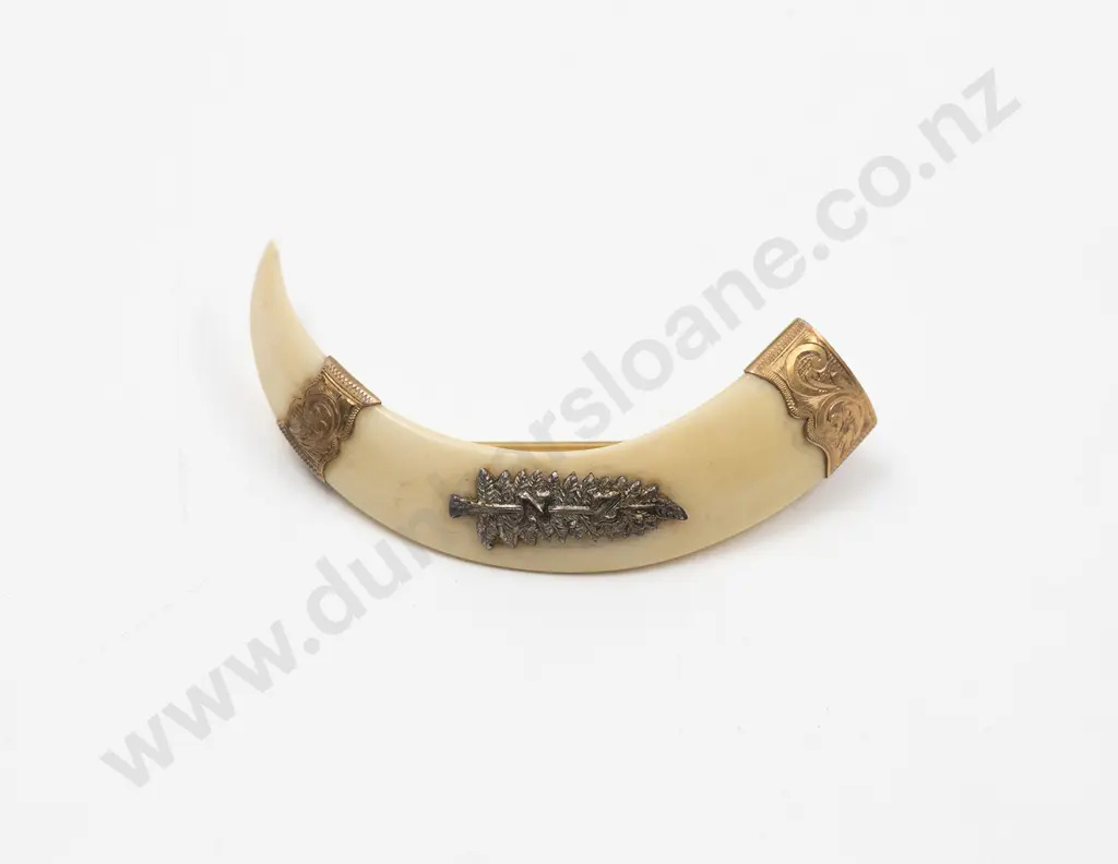 9ct Mounted Boar Tusk Brooch Image 1++