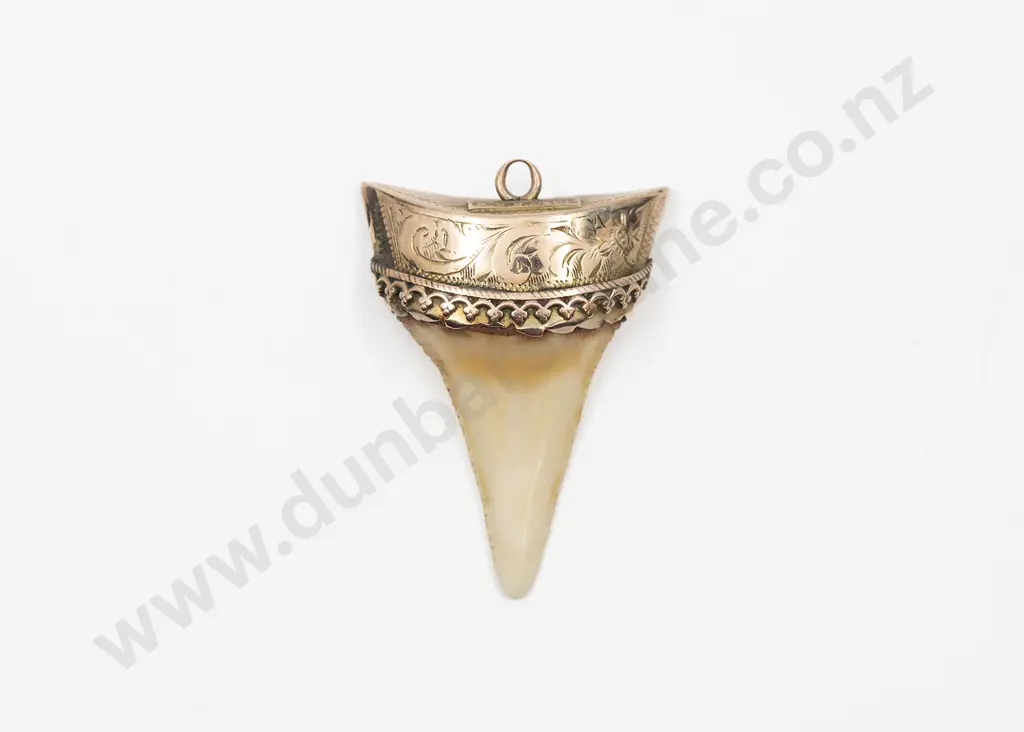 9ct Mounted Small Single Tusk Brooch Image 1++