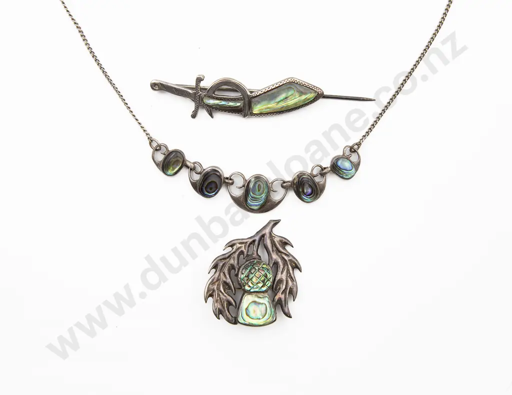 S/S and Paua Necklet Image 1++