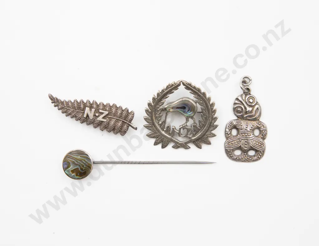 S/S and Paua Kiwi Brooch Image 1++
