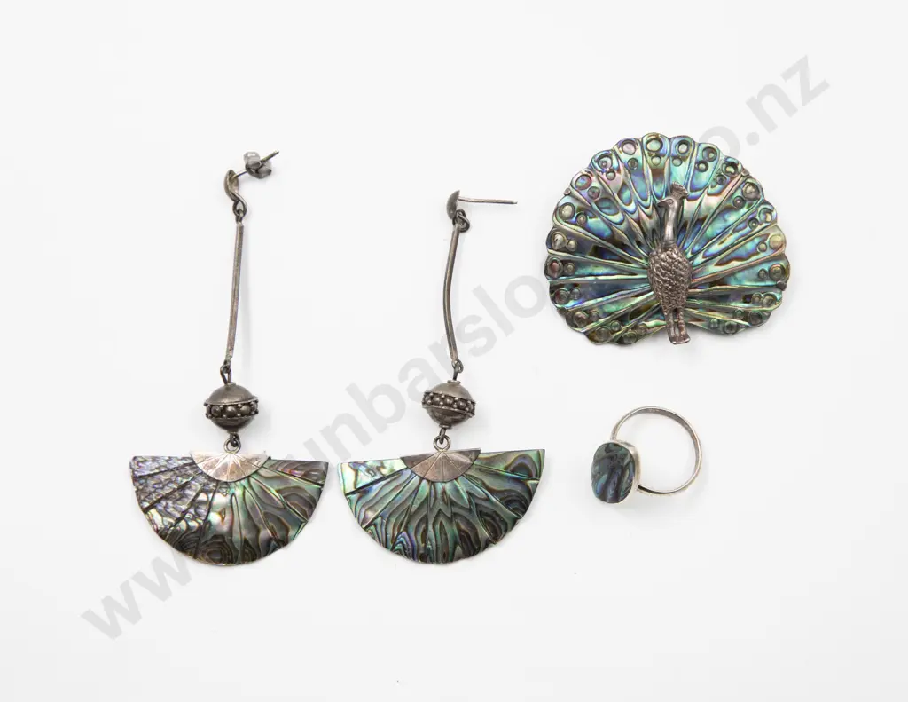 S/S and Paua Boxed Ariki Peacock Brooch Image 1++