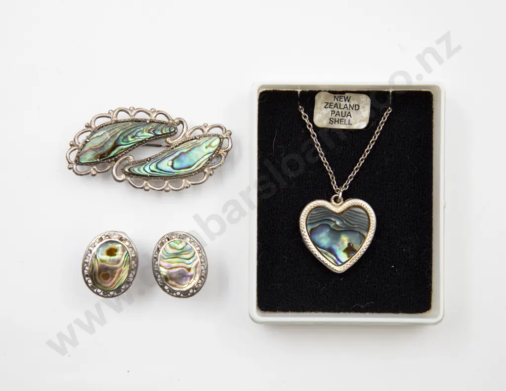 S/S and Paua Double Panel Brooch Image 1++