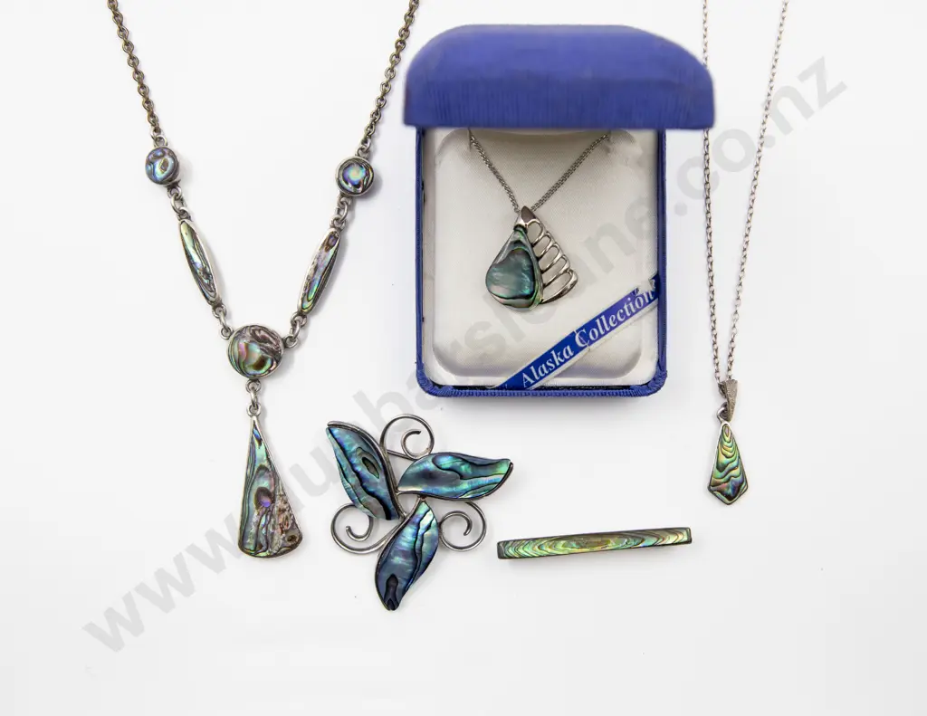 S/S and Paua Pendant Necklet Image 1++