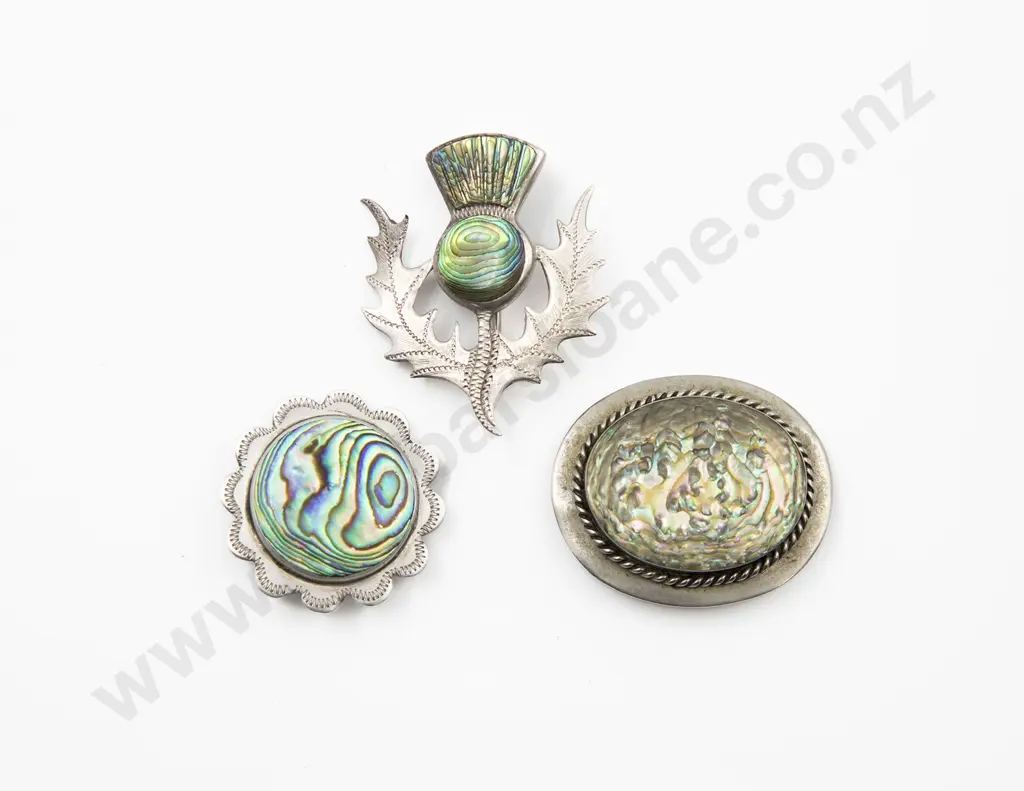 Three S/S and Paua Brooches Image 1++