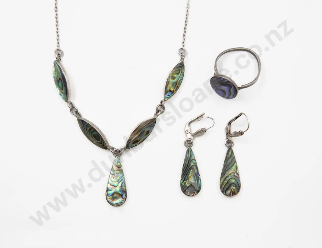 S/S and Paua Necklet Image 1++