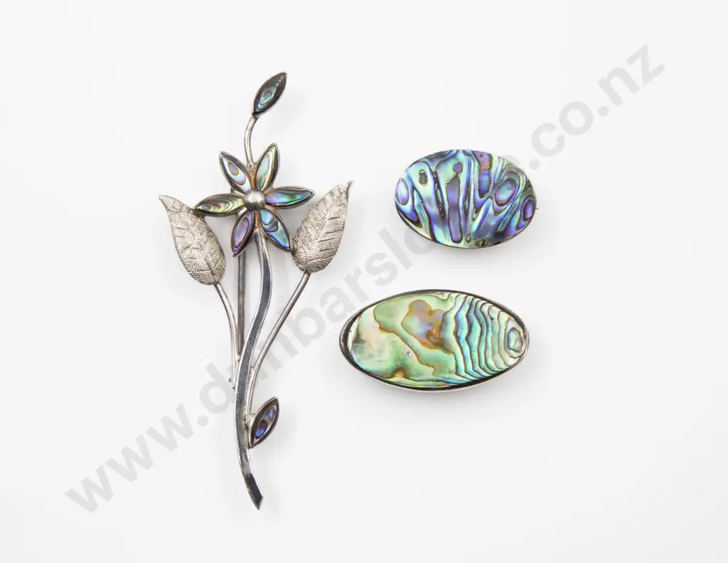 S/S and Paua Floral Spray Brooch Image 1++