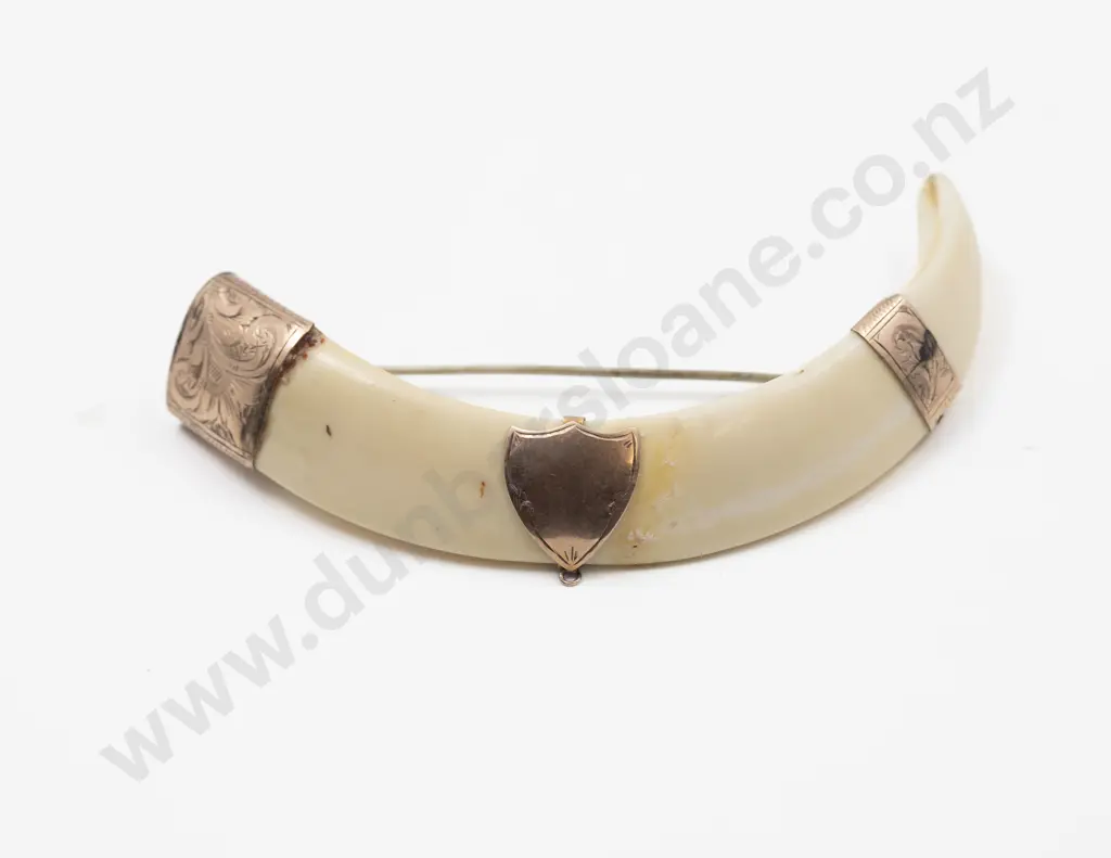 9ct Mounted Tusk Brooch Image 1++
