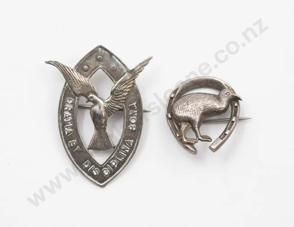 Columba College Roslyn Dunedin School Brooch Image 1++