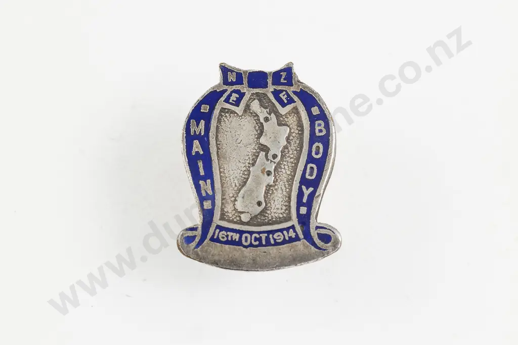 NZ Silver & Enamel Brooch Image 1++