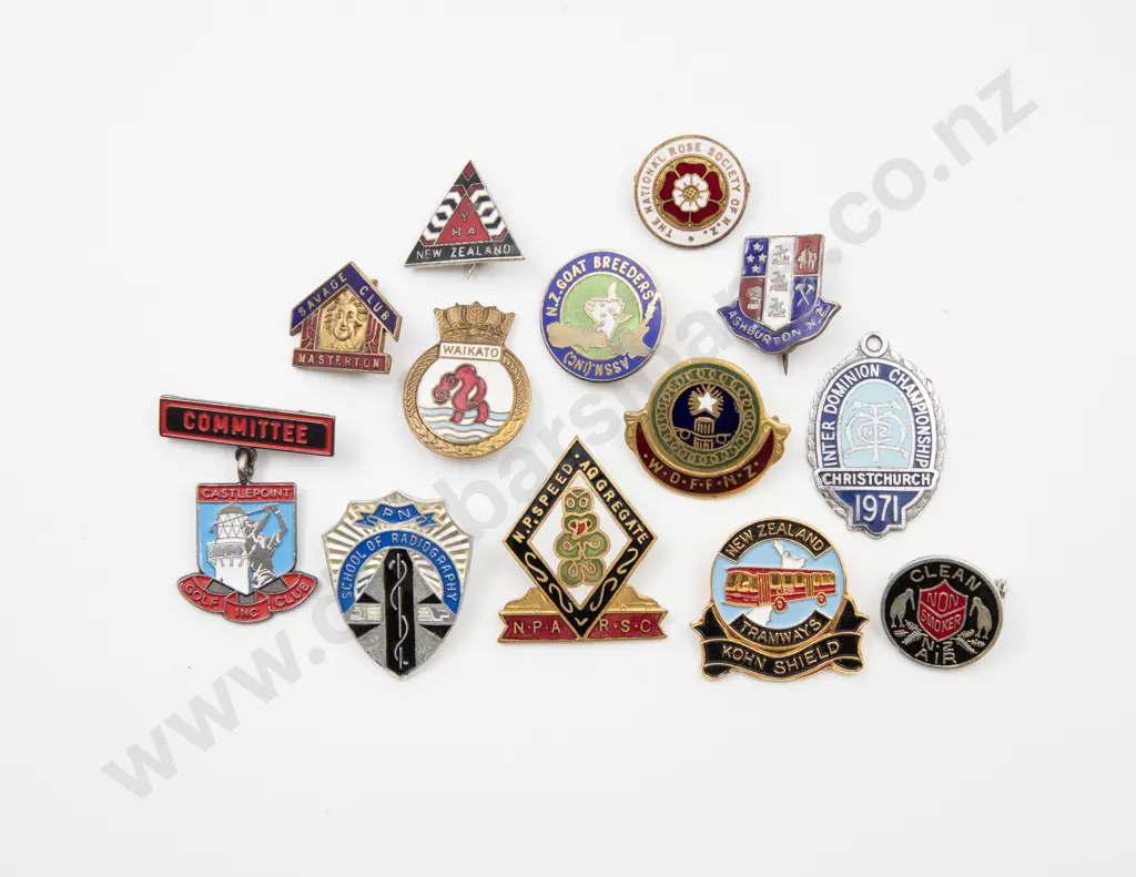 Collection Thirteen Enamelled NZ Various Club Badges Image 1++