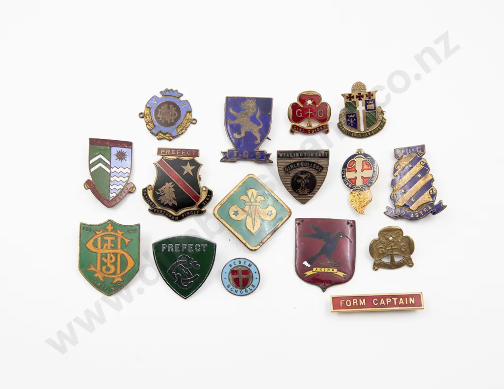 Collection NZ School and Girl Guide Enamelled Badges (16) Image 1++