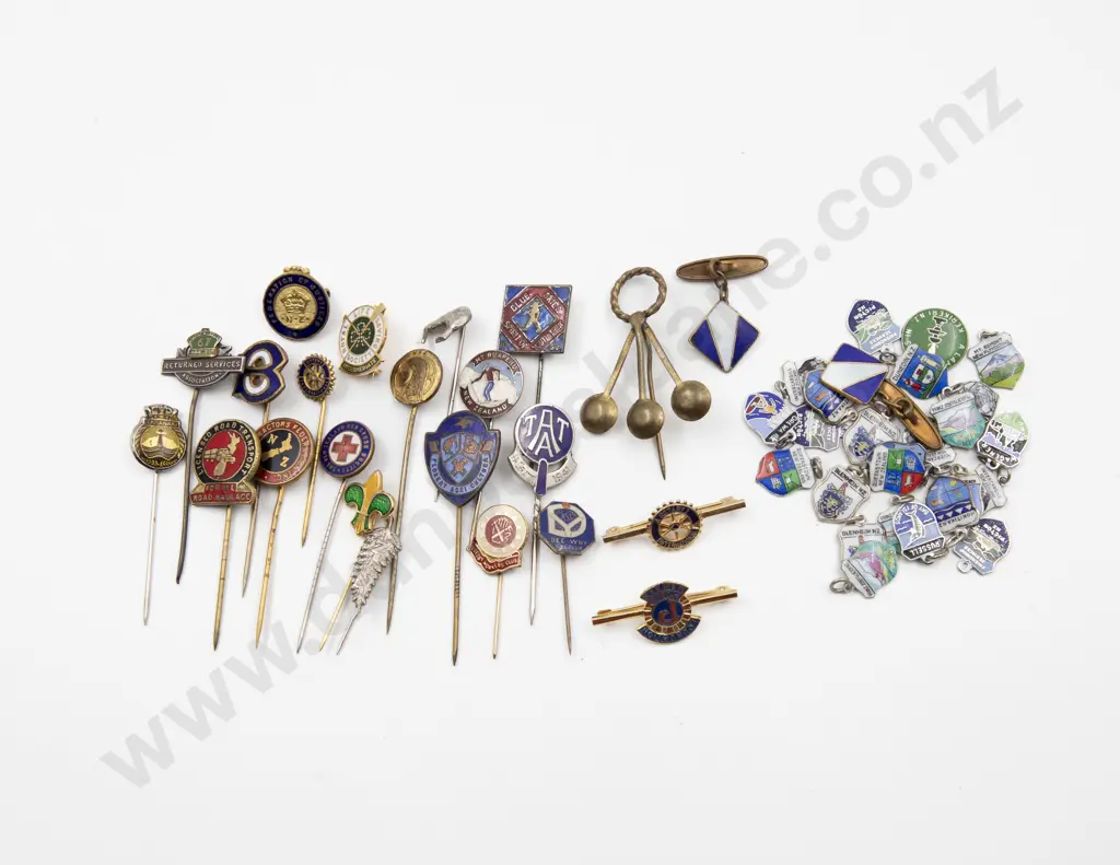 Collection Various Association Lapel Pins and Brooches (22) Image 1++