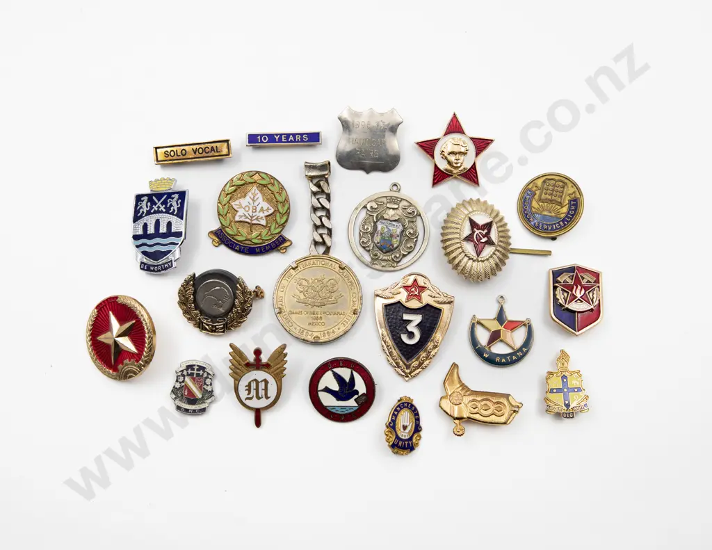 Collection Various Association Badges and Brooches (20) Image 1++
