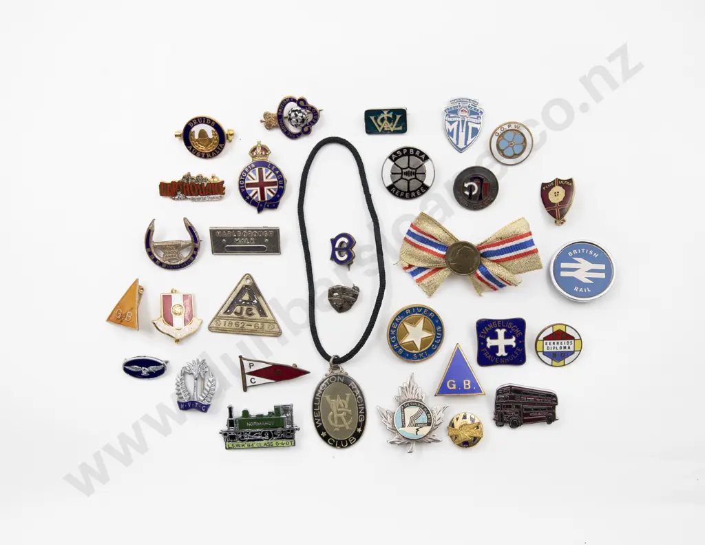 Collection World Miscellaneous Badges and Pendants (30) Image 1++