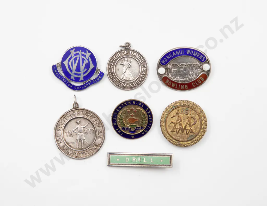 Seven NZ Silver and Enamel Badges Image 1++