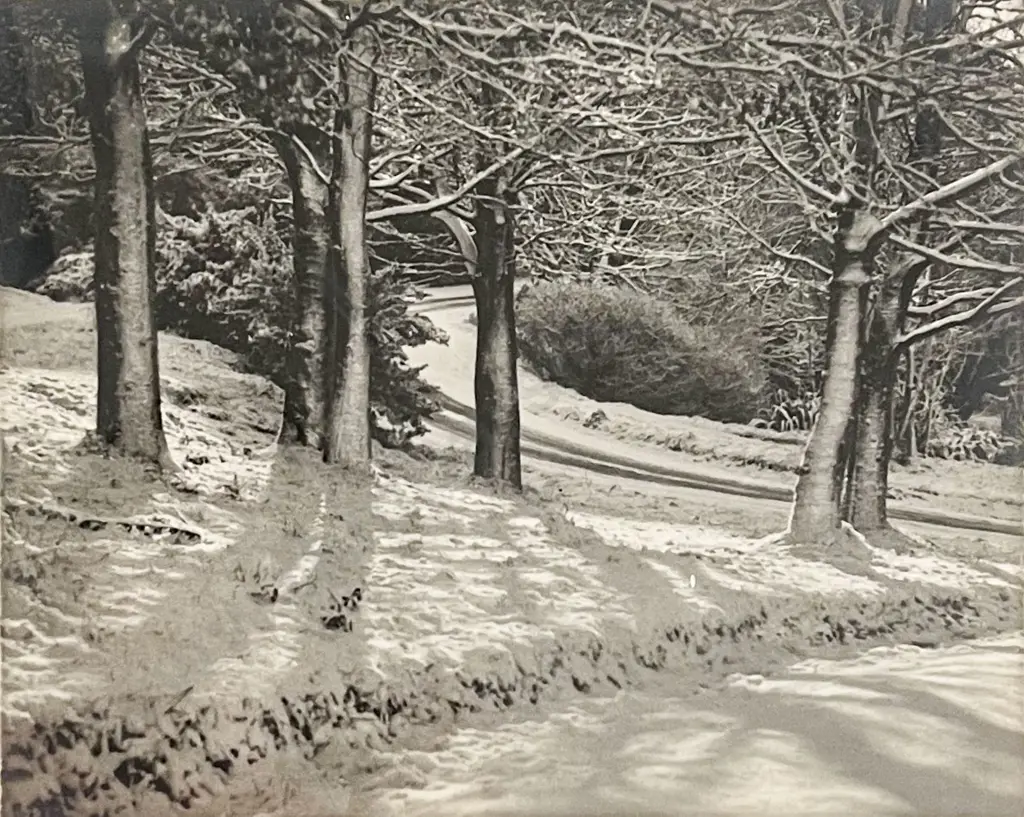 George Chance - Winters Mantle Image 1++