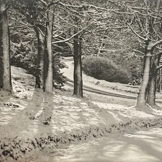 George Chance - Winters Mantle