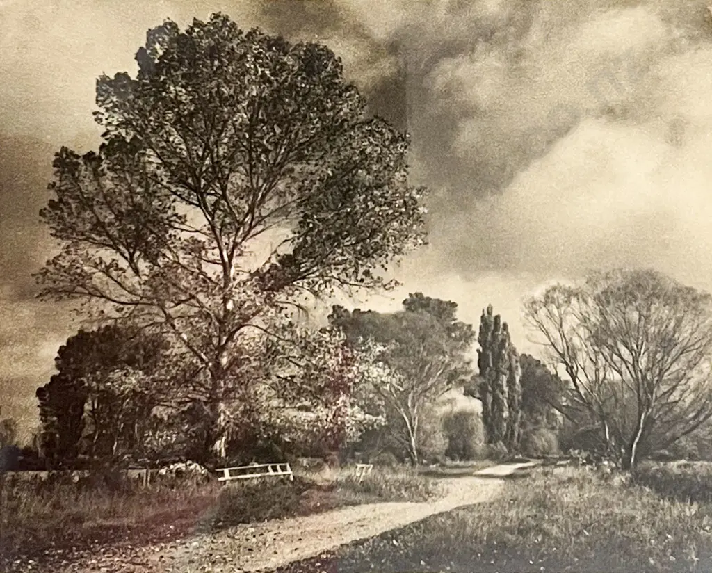 George Chance - Autumn in South Canterbury NZ Image 1++