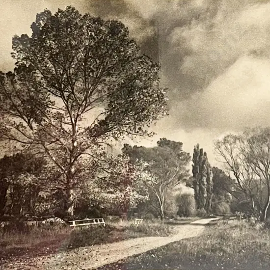 George Chance - Autumn in South Canterbury NZ