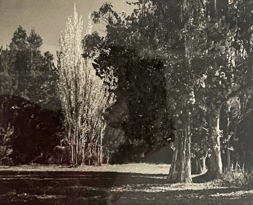 George Chance - Fairy Sentinels Near Taupo NZ Image 1++