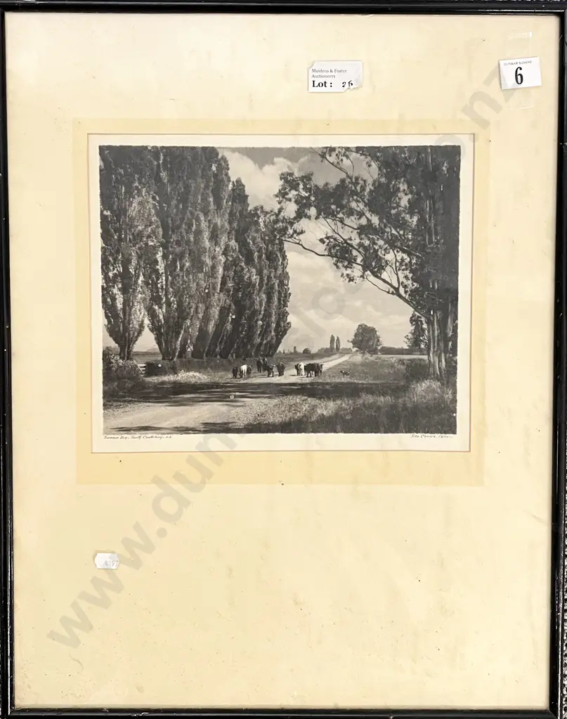 George Chance - Summer Day South Canterbury NZ Image 1++