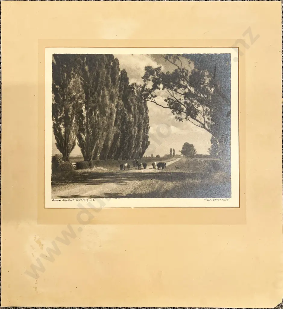 George Chance - Summer Day South Canterbury NZ Image 1++