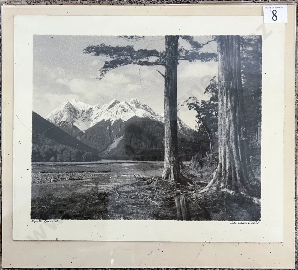 George Chance - Eglinton River NZ Image 1++