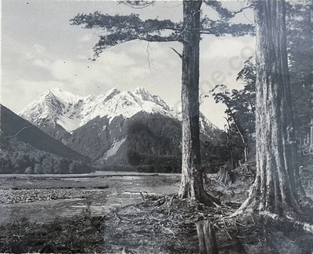 George Chance - Eglinton River NZ Image 1++
