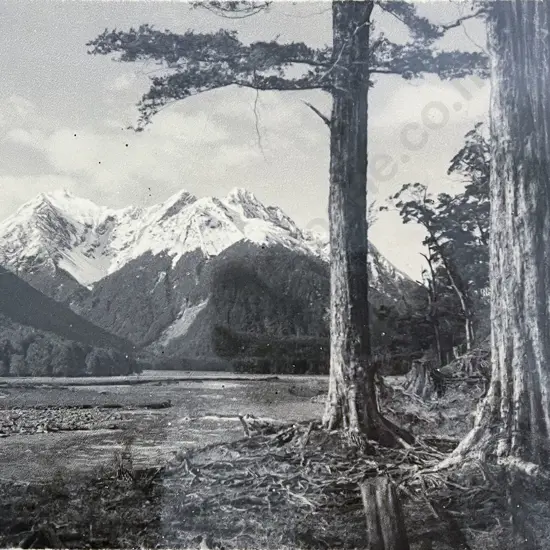 George Chance - Eglinton River NZ
