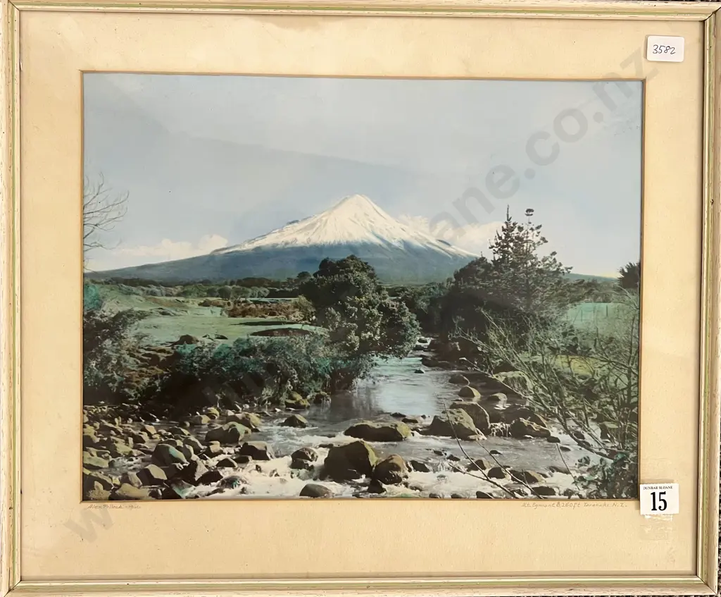 Alex Pollock - Mt Egmont Image 1++