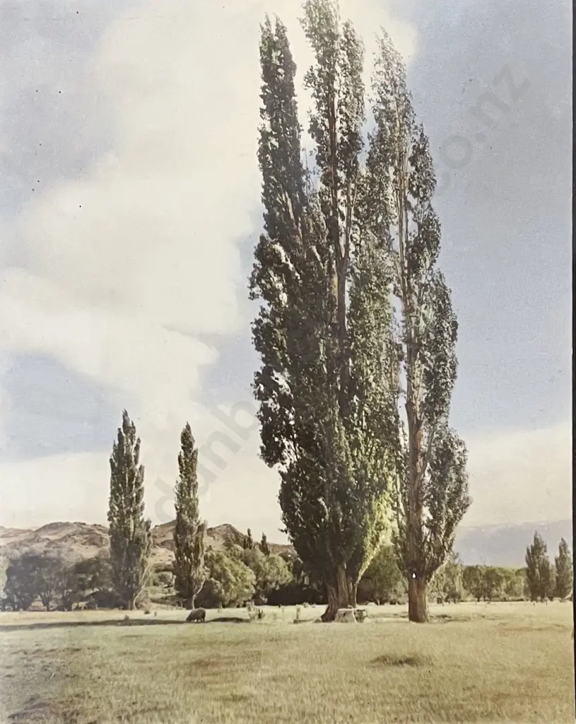 Samuel Hall - Skywards Image 1++