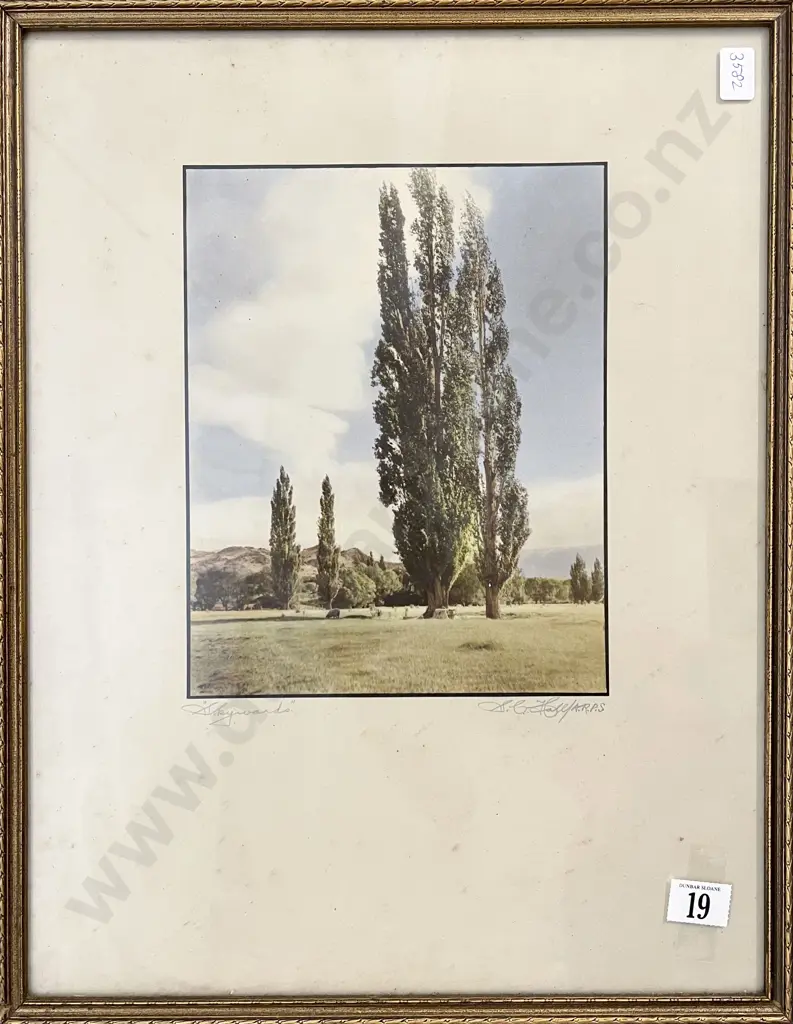 Samuel Hall - Skywards Image 1++