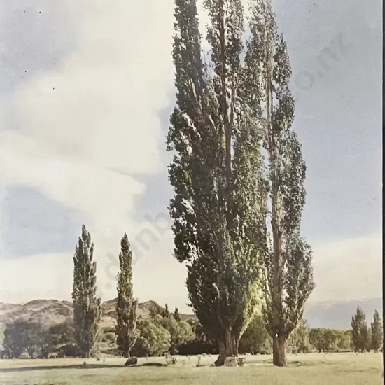 Samuel Hall - Skywards