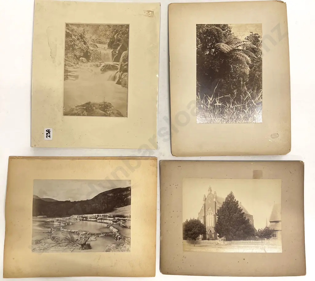 Selection of Photographs Incl. Burton Bros and Pink & White Terraces Image 1++