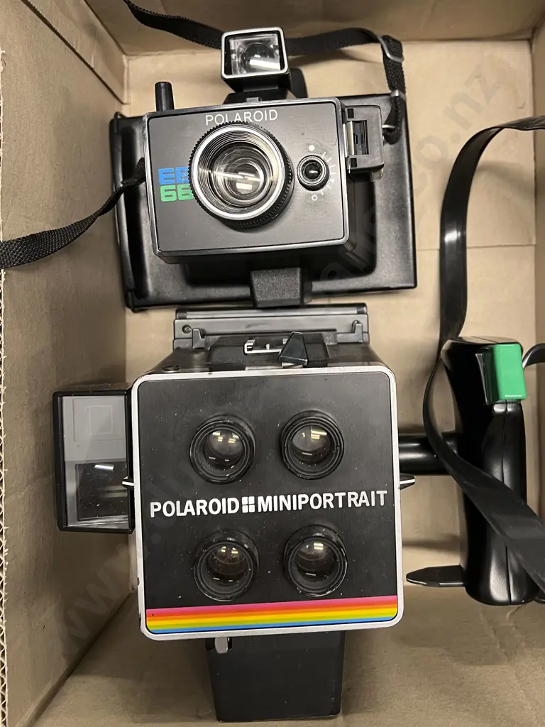 Pair of Polaroid Cameras Image 1++