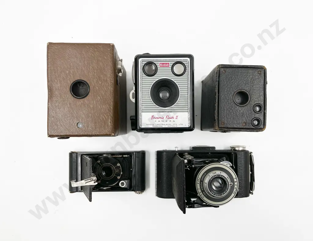 Three Box Cameras & Two Folding Cameras Image 1++