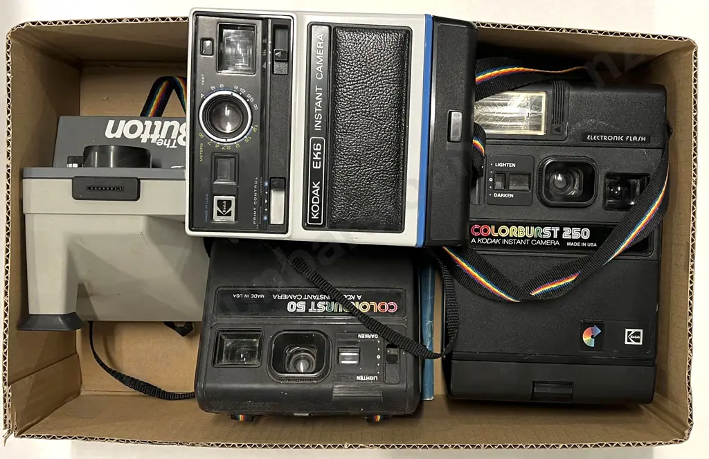 Three Kodak Instant Cameras with Polaroid "The Button" Image 1++