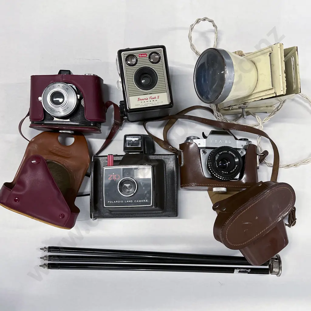 Three Cased Cameras with Polaroid Image 1++