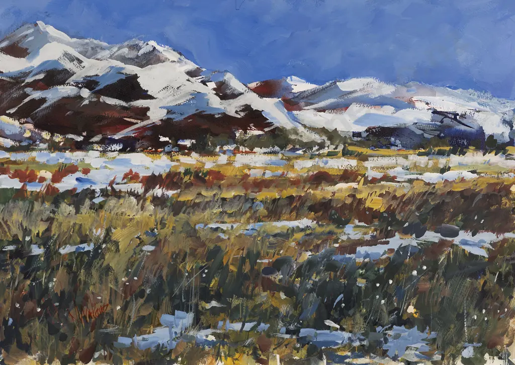 Nicki Waters - Alpine Landscape Image 1++