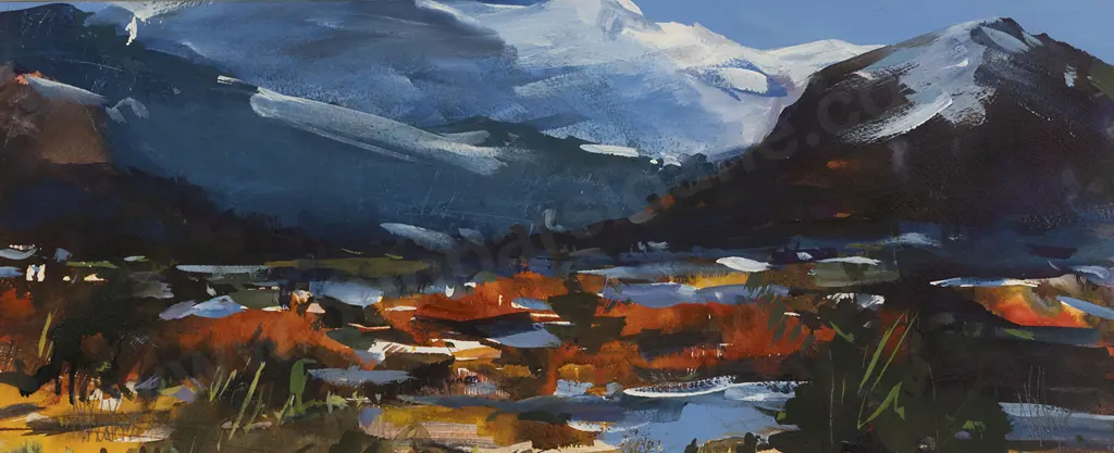 Nicki Waters - Winter Morning South Island Image 1++