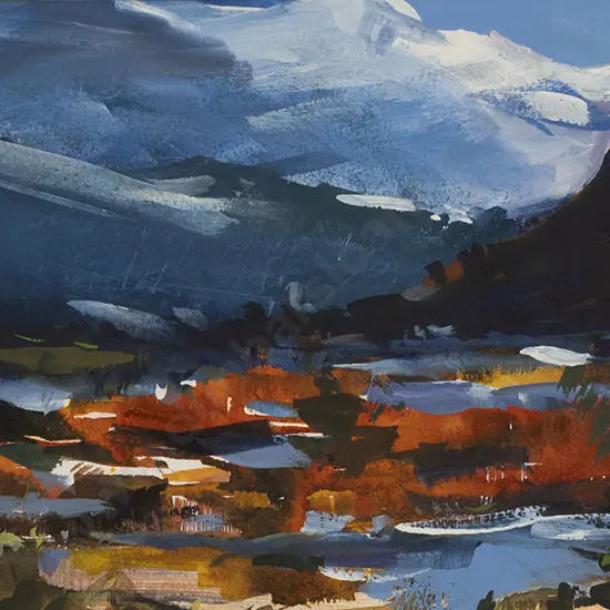 Nicki Waters - Winter Morning South Island
