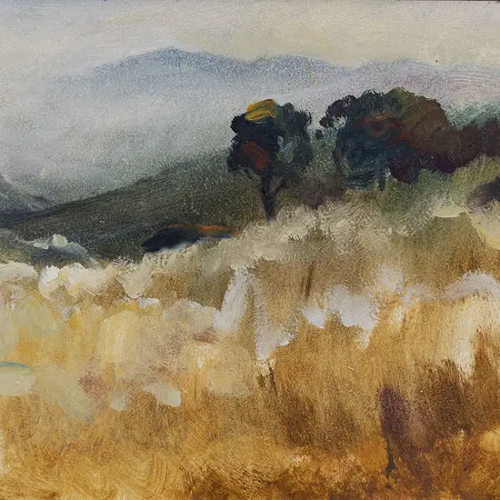 Robert McDowell (b 1937) - Morning Mist from Kennedy's Bush II