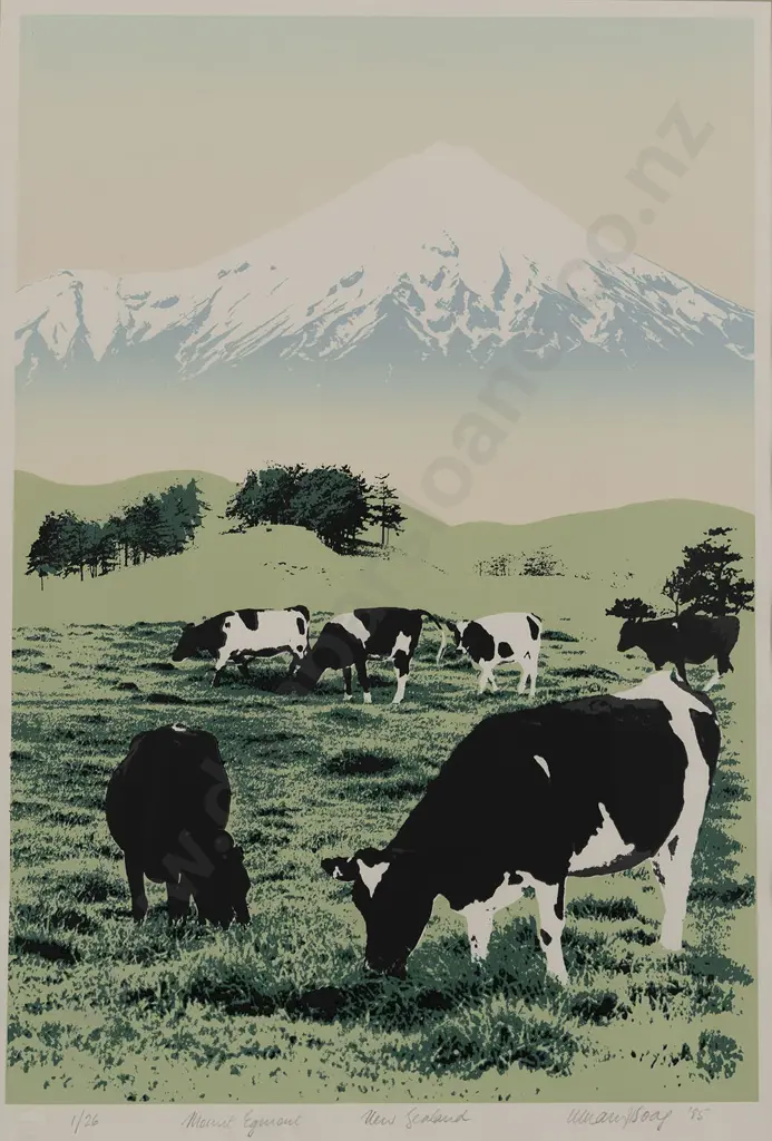 Unknown Artist - Mount Egmont New Zealand Image 1++