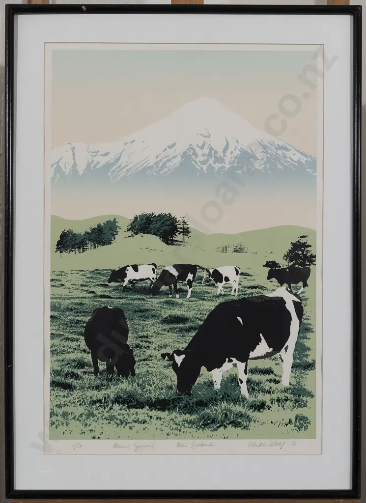 Unknown Artist - Mount Egmont New Zealand Image 1++