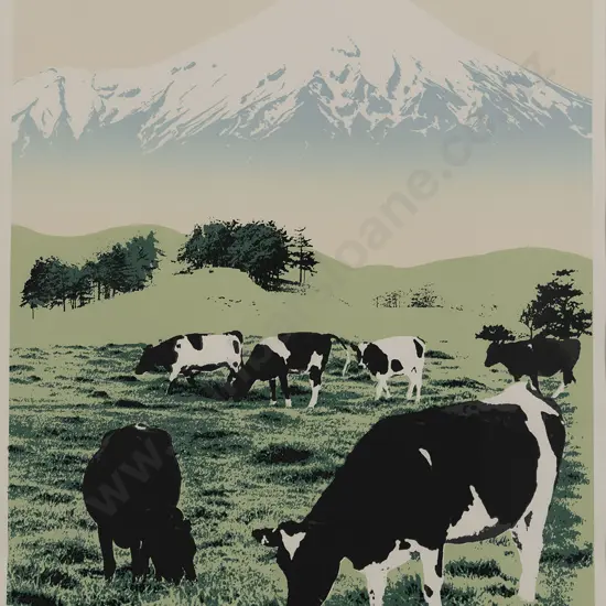 Unknown Artist - Mount Egmont New Zealand