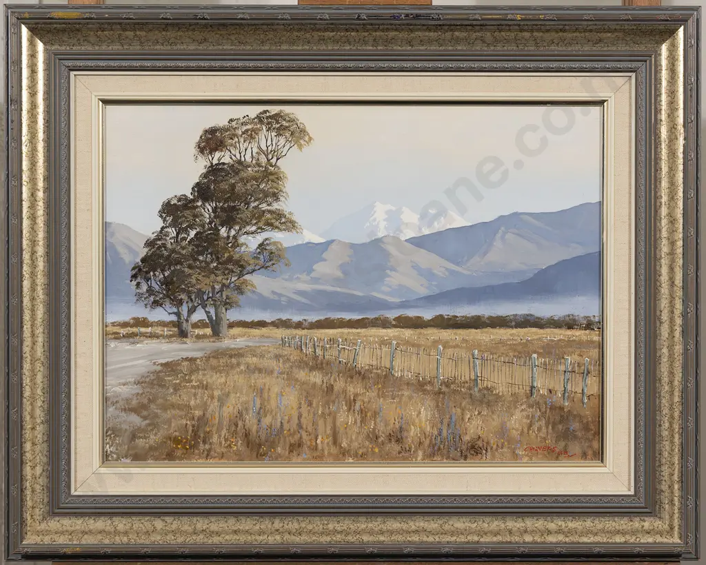 Robert Chilvers - Mt Tapuaenu from Rarangi Image 1++