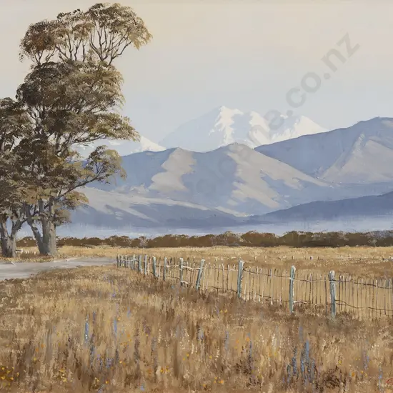 Robert Chilvers - Mt Tapuaenu from Rarangi