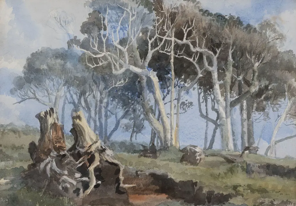 Attrib Sydney Higgs - Tree Study Image 1++